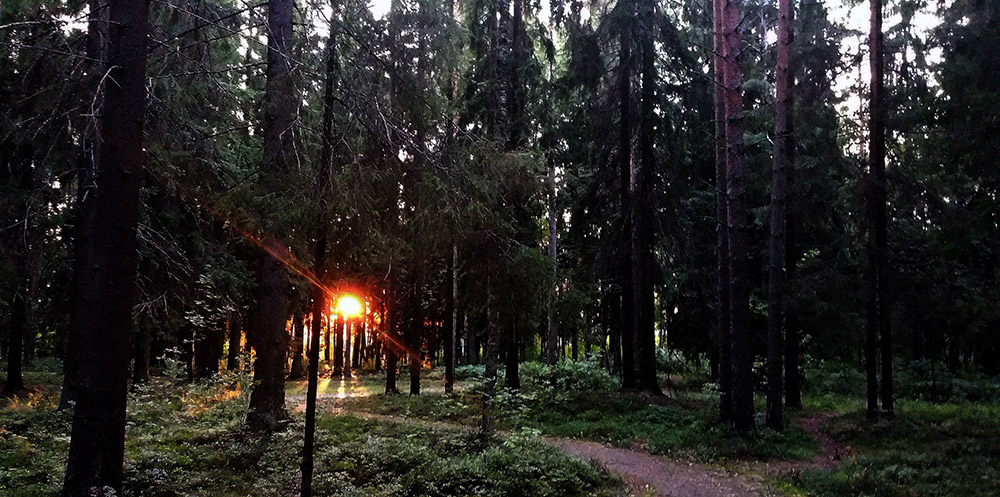 лпл