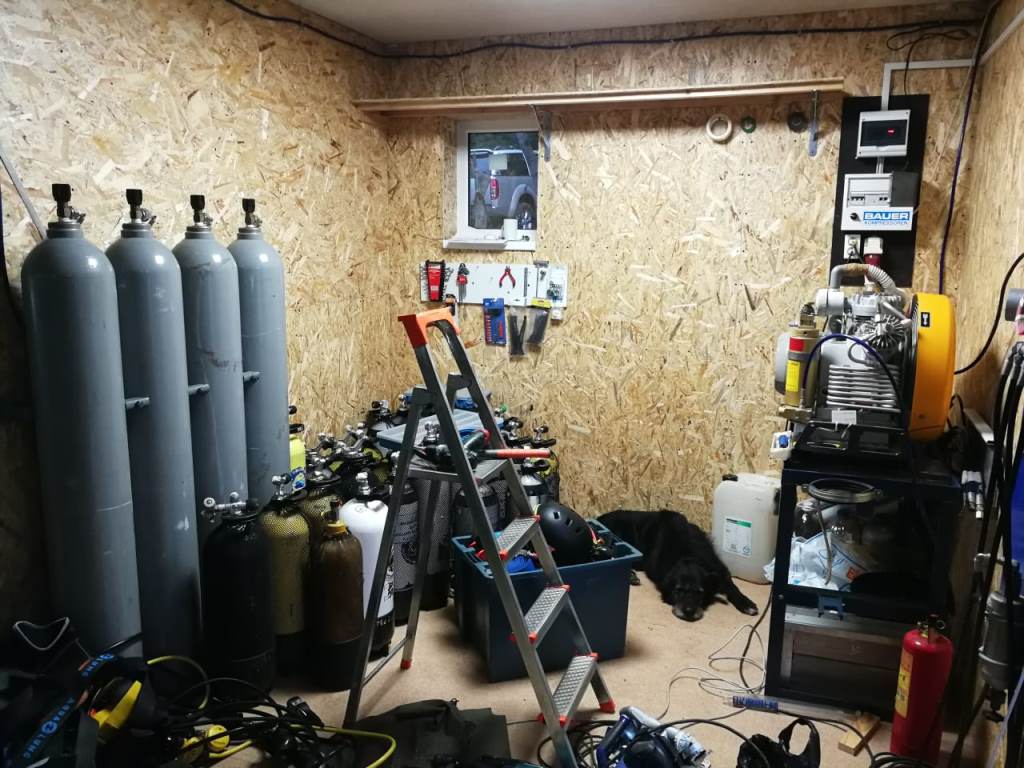 новая база новая база