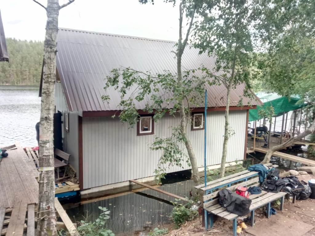 новая база новая база