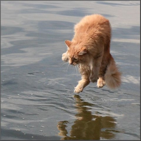 jump