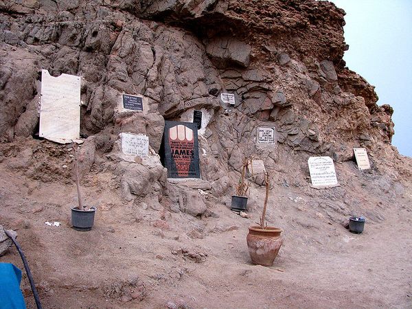 БлюХолл1 БлюХолл1