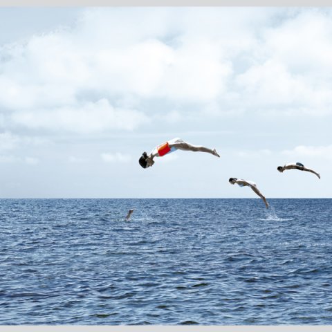 dolfins