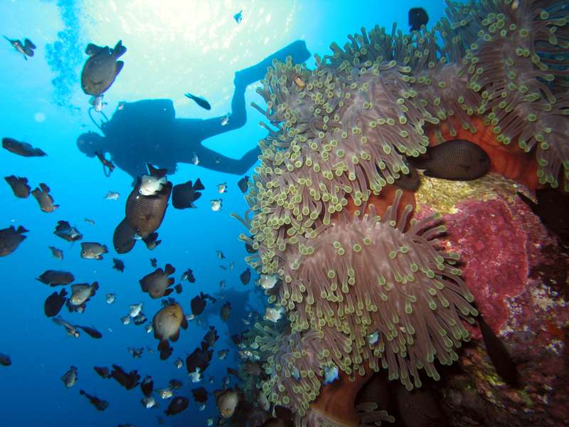 зарисовки из шарма зарисовки из шарма