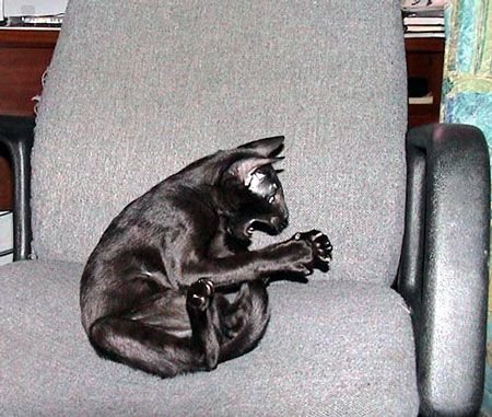 chair