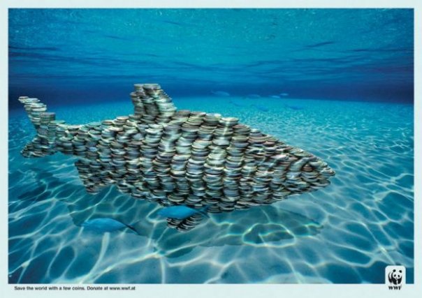 shark