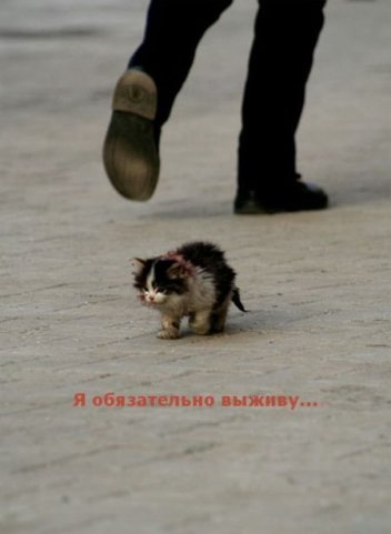 i will surv