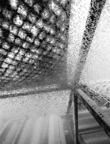 Искусственный риф на Каспийском море Искусственный риф на Каспийском море