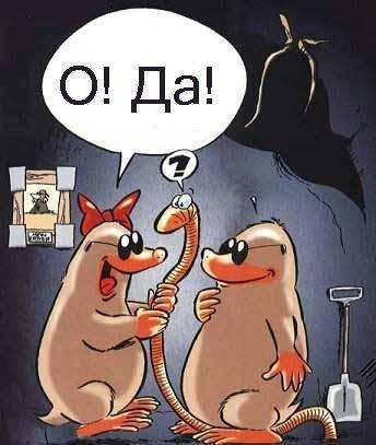 o da!