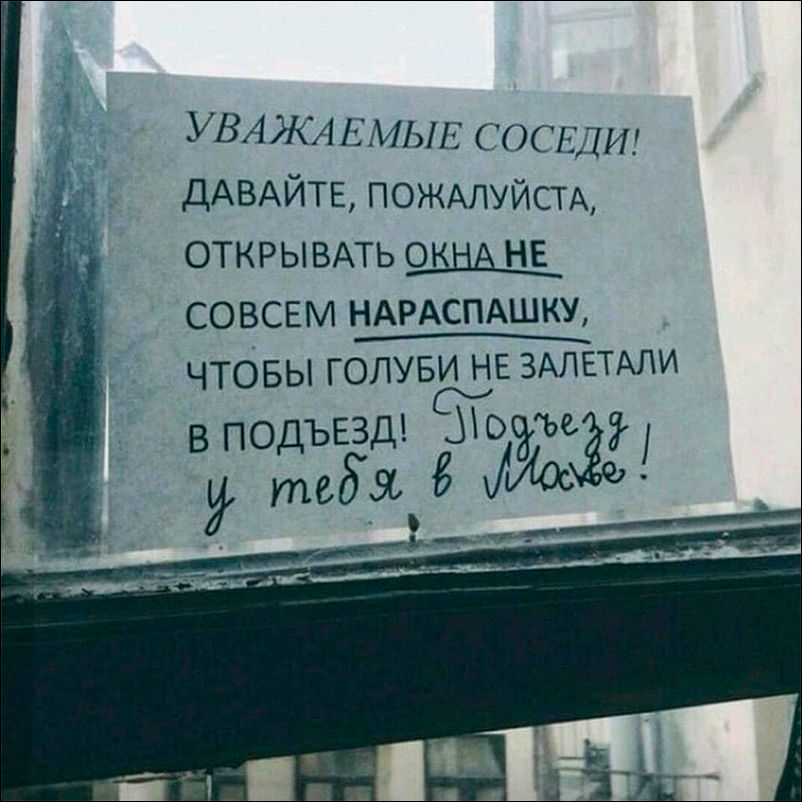 spb