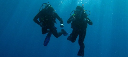 Divers