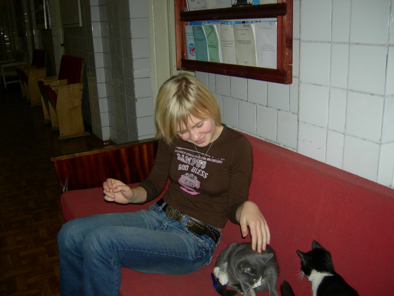 ВМА (2,12,2006) ВМА (2,12,2006)