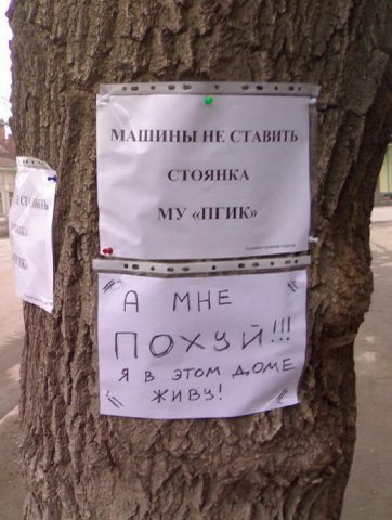 stoianka