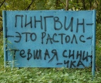 pingv