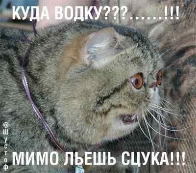 scuka