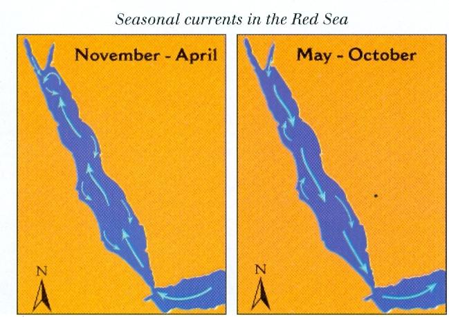 current RedSea current RedSea