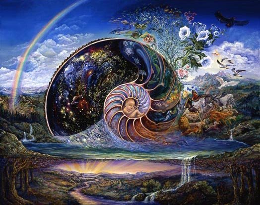 nautilus