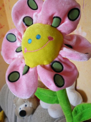 romashka :)