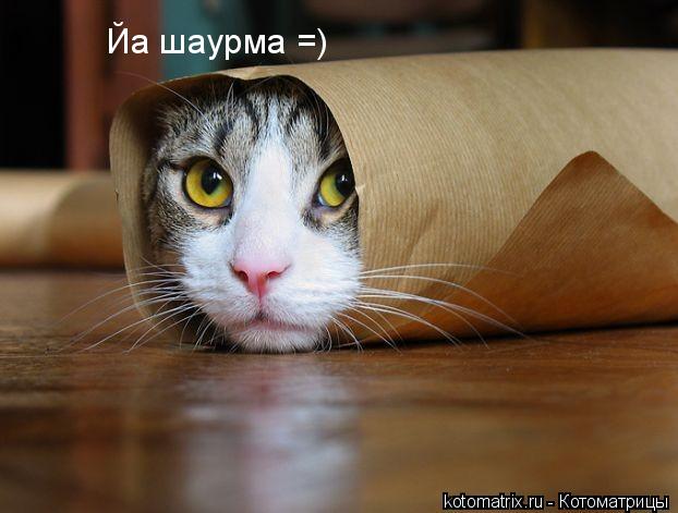 ша
