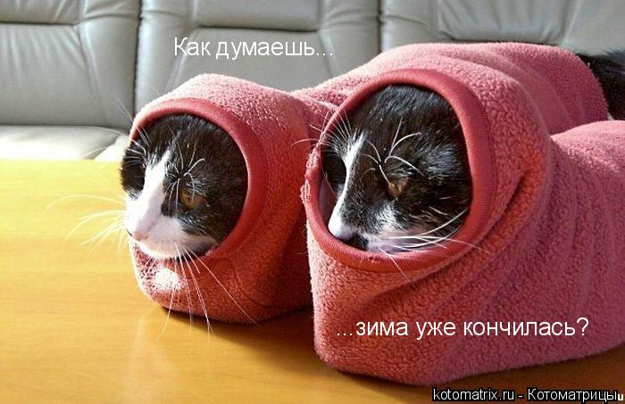 vesn