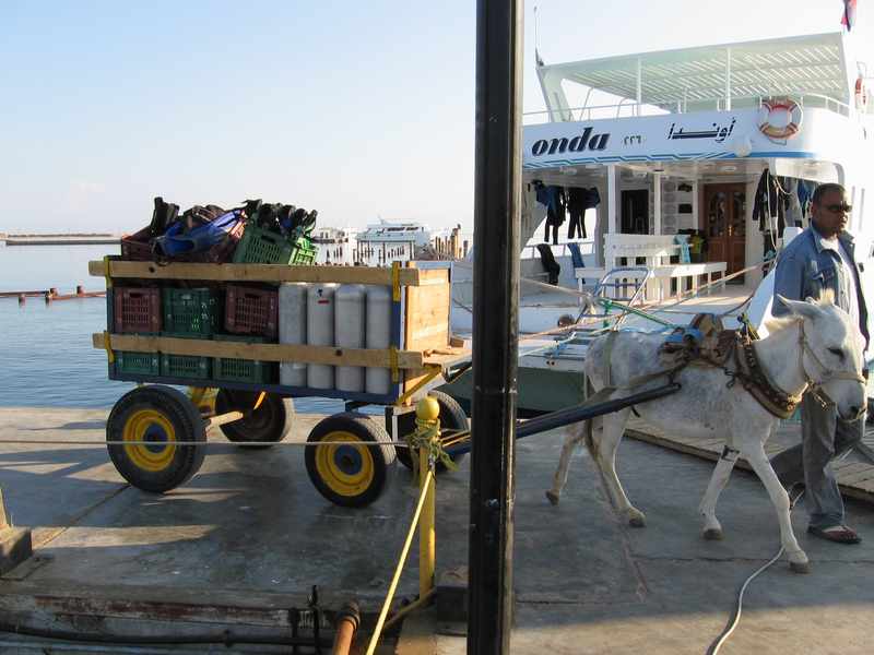 Ослик Ослик