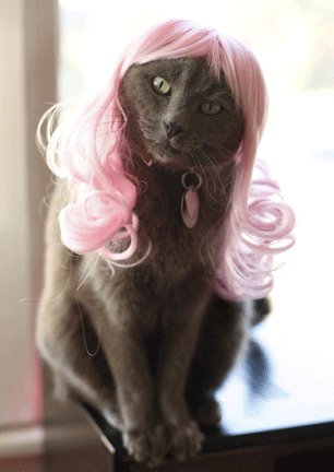 lady