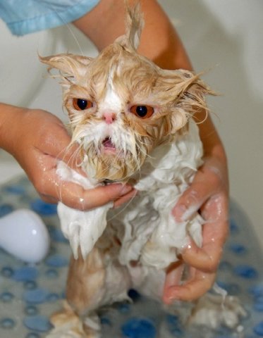 wash