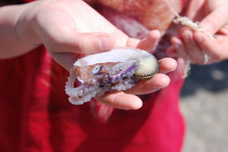 Мальта 04.2008 Мальта 04.2008