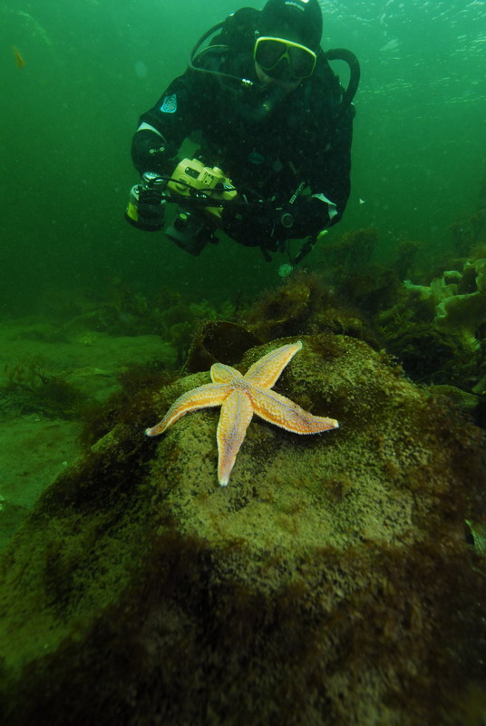 Звезда и фотограф. Звезда и фотограф.