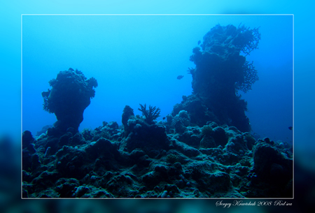 Красное море март 2008