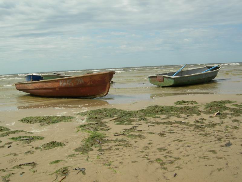 Экологическая акция "Чистая природа". 8 июня 2008 г. Экологическая акция "Чистая природа". 8 июня 2008 г.