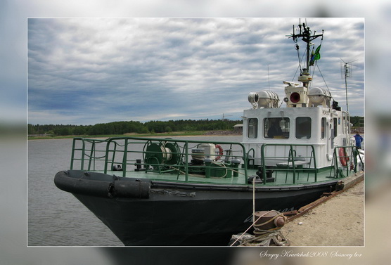 Сосновый бор. День очистки водоемов. Сосновый бор. День очистки водоемов.