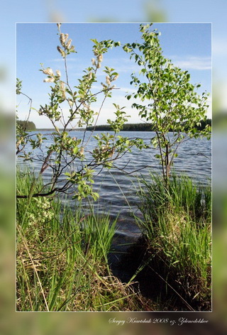 Клуб ProDIVING. Зачет по CMAS **. Озеро Зеленодольское.