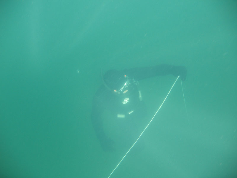 Сапёрное Сапёрное