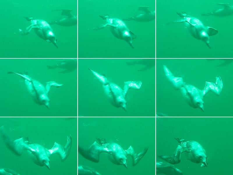 "Глубокий полёт 1" "Глубокий полёт 1"