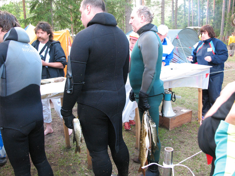 Копанское 2008 Копанское 2008