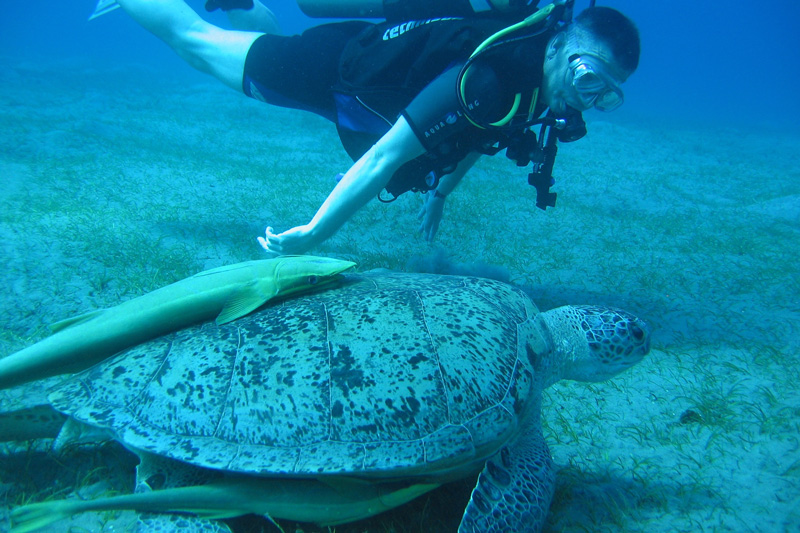 Хургада в июле 2008 г. Хургада в июле 2008 г.