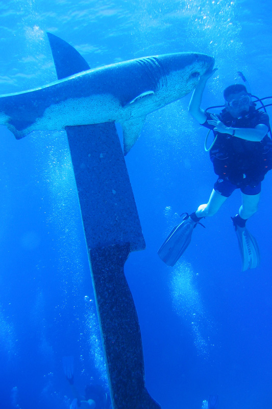 Хургада в июле 2008 г. Хургада в июле 2008 г.