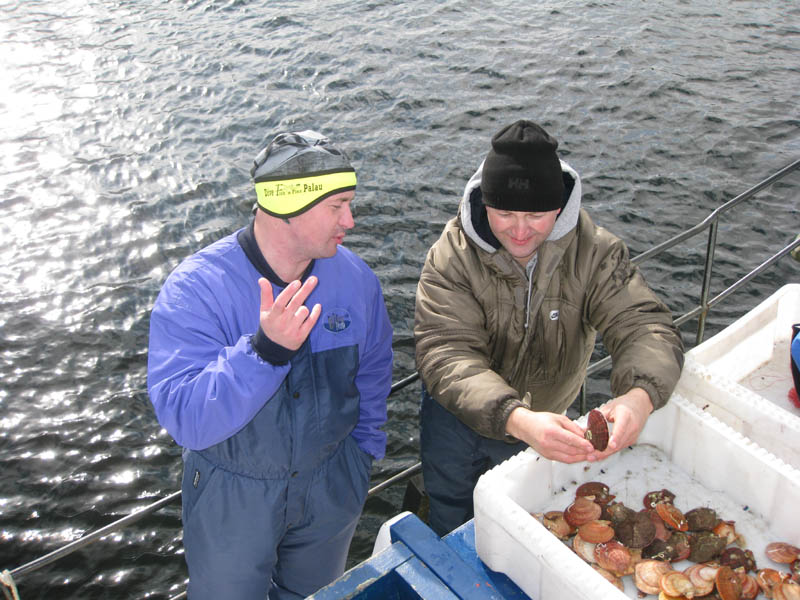 Участники Участники