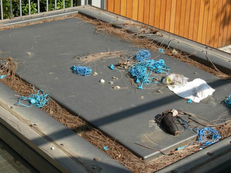 Испания. Острова Медес (Вести с полей). 23.09. - 1.10.2008 Испания. Острова Медес (Вести с полей). 23.09. - 1.10.2008