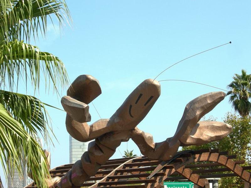 Испания. Острова Медес (Вести с полей). 23.09. - 1.10.2008 Испания. Острова Медес (Вести с полей). 23.09. - 1.10.2008