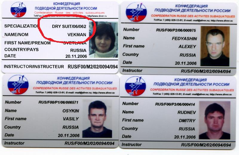 карточки карточки