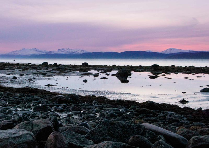 Нарвик (6-10.11.08) Нарвик (6-10.11.08)