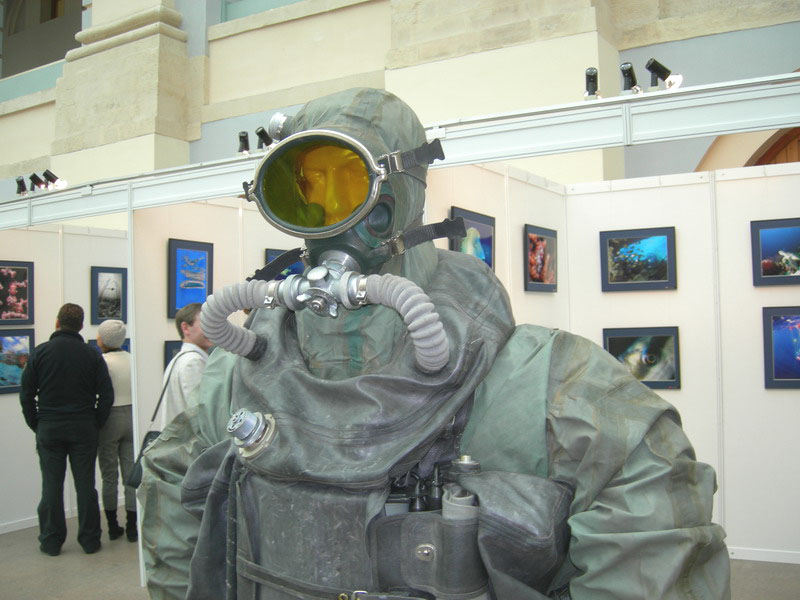 Золотой дельфин 2007