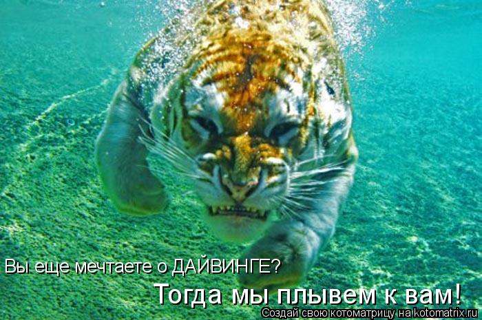 Реклама ))