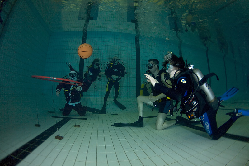 Встреча Нового 2009 года в клубе Белый Тюлень. Встреча Нового 2009 года в клубе Белый Тюлень.