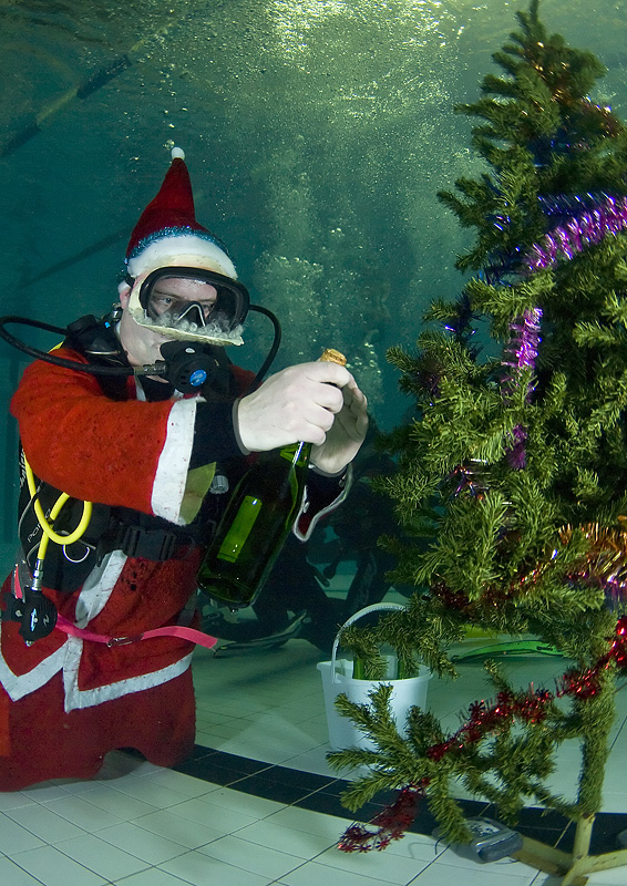 Встреча Нового 2009 года в клубе Белый Тюлень. Встреча Нового 2009 года в клубе Белый Тюлень.