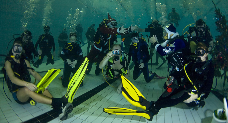 Встреча Нового 2009 года в клубе Белый Тюлень. Встреча Нового 2009 года в клубе Белый Тюлень.