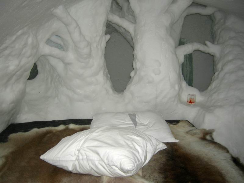 Нарвик. Минисафари (21-22-23 февраля2009). Нарвик. Минисафари (21-22-23 февраля2009).