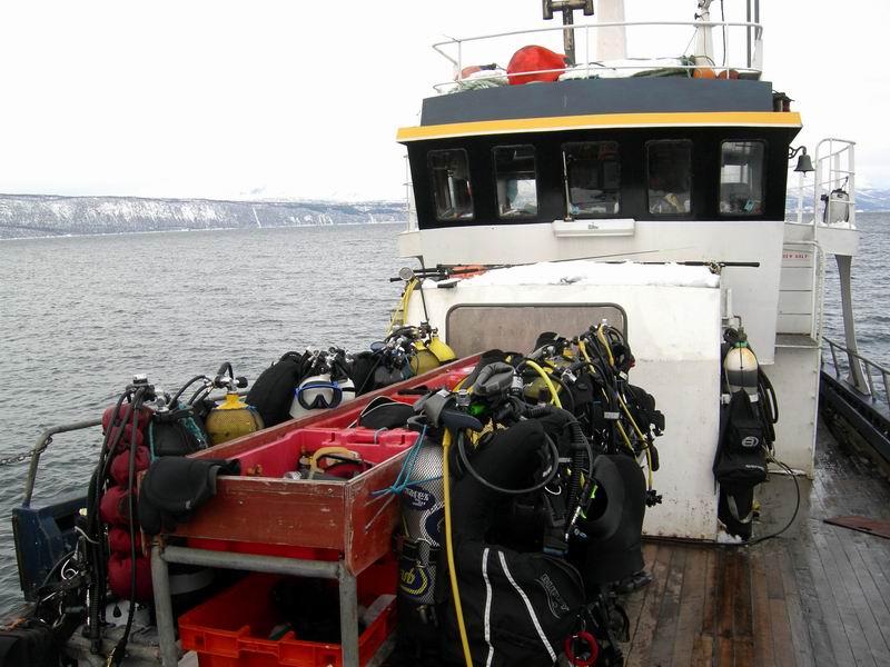 Нарвик. Минисафари (21-22-23 февраля2009). Нарвик. Минисафари (21-22-23 февраля2009).