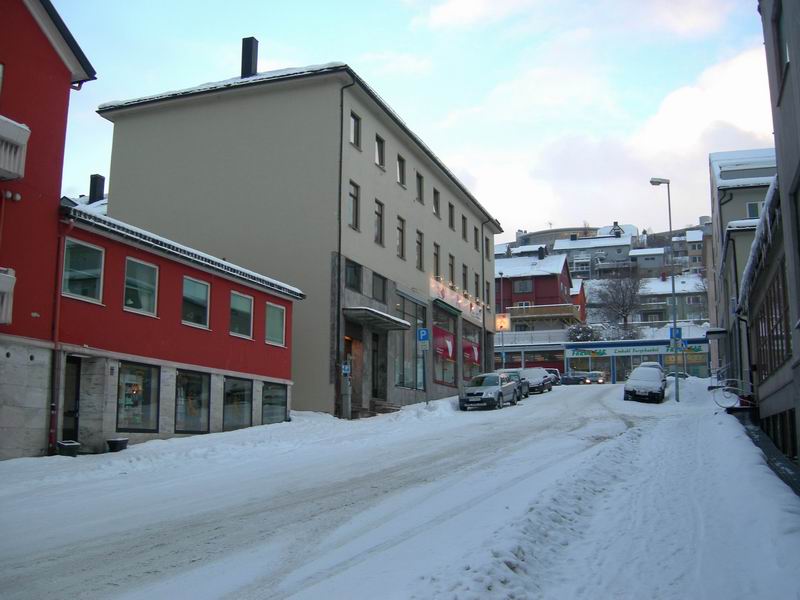 Нарвик. Минисафари (21-22-23 февраля2009). Нарвик. Минисафари (21-22-23 февраля2009).